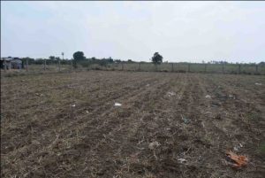 Ploughed Land ready for showing