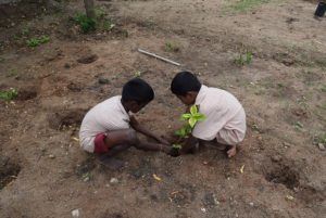 plantingtrees2